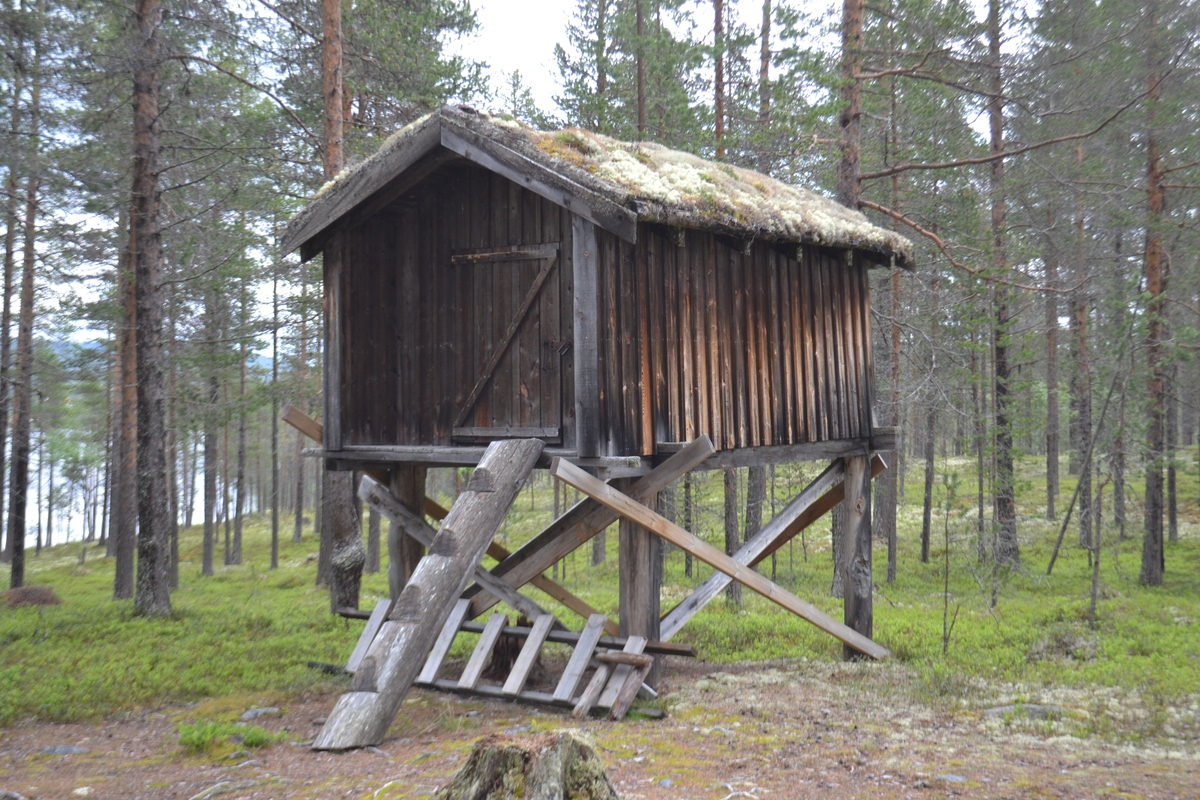 Museumsutflukt til Blokkodden villmarksmuseum, Engerdalen.
På den samiske boplassen, et samiske stabbur, såkalt buvrie el. njalla.