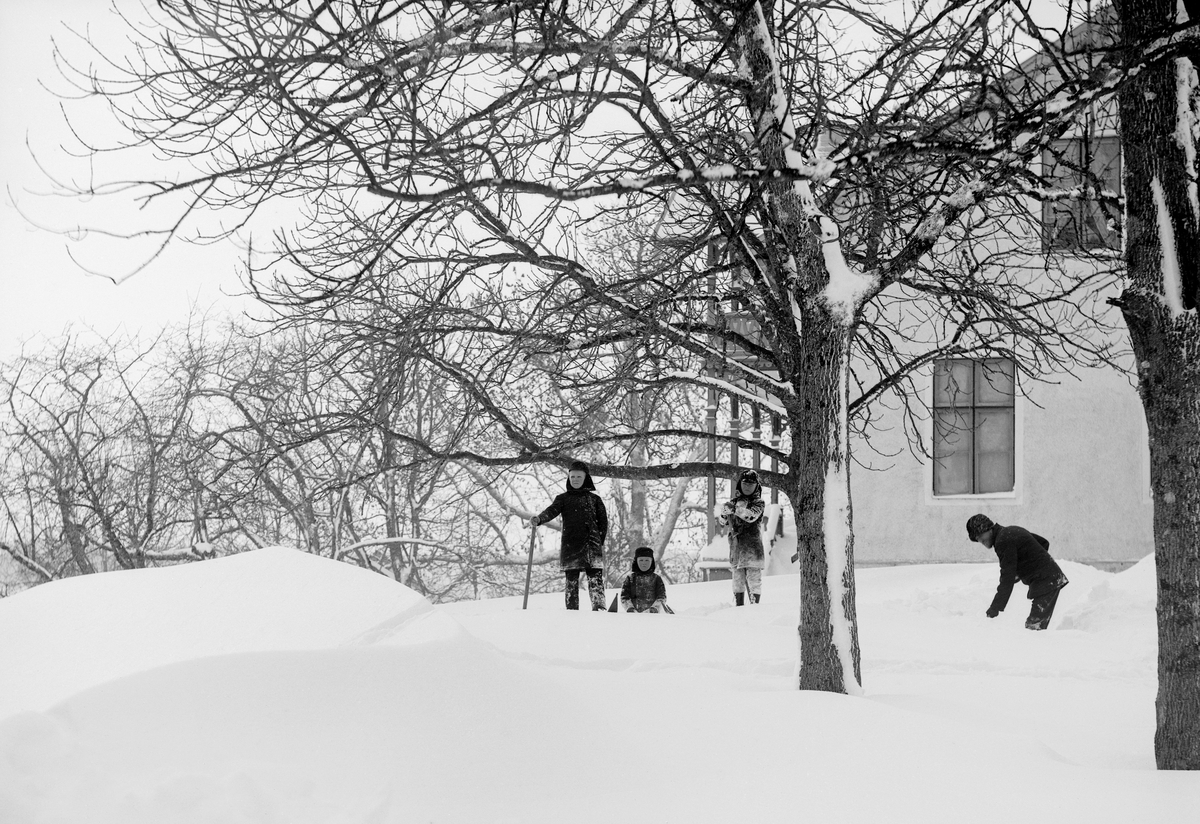 Bröderna Arne, Uno och Sigurd hjälper fadern Karl Johan Hallin med snöskottningen vid hemmet Ramsdal i Sankt Anna.