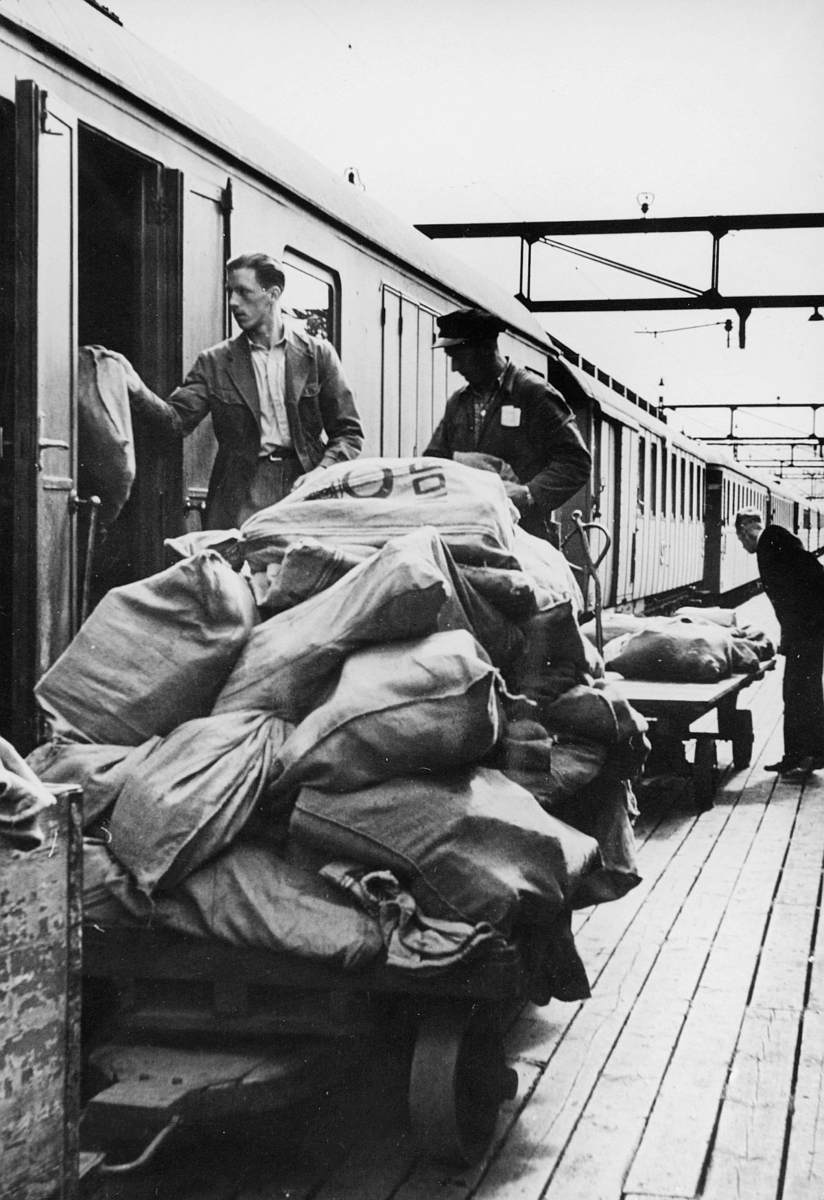 Transport, tog, lossing, Østbanestasjonen, lasting, eksteriør, postsekker, tre menn