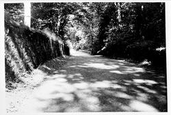 Landskap, landevei, steingjerde