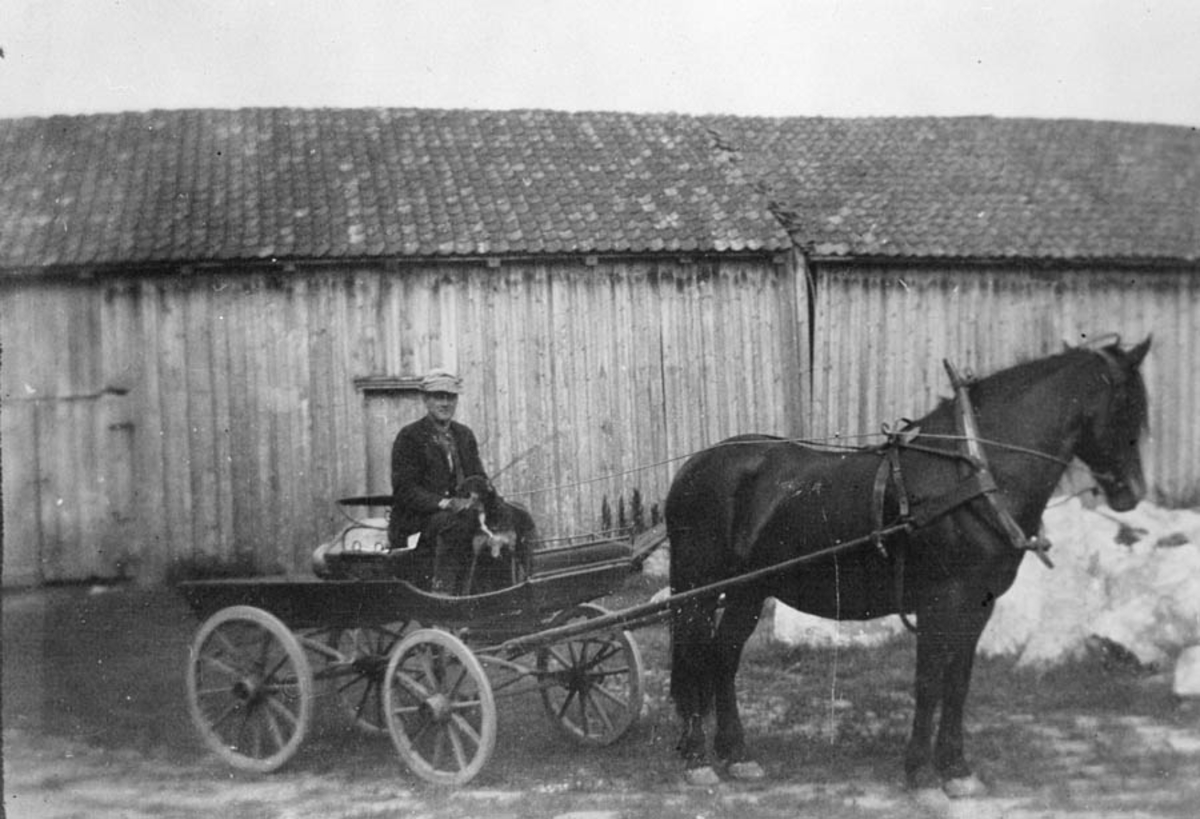 Ludvig Nordby med hest og vogn