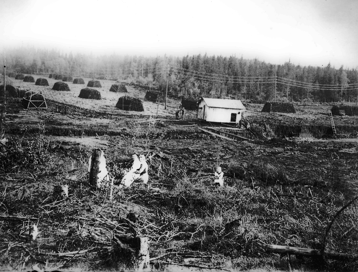 Torvmyra på Morskogen ca. 1922.