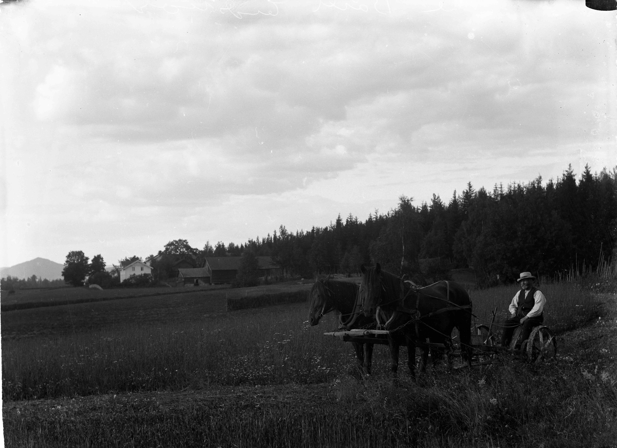 Ole Bårli, gård, slåttonn. Slåmaskin med 2 hester