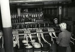 Nydalens Compagnie,.desember 1949