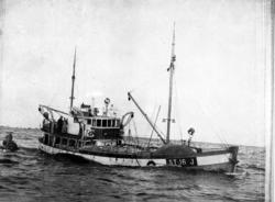 FISKEFARTØY, M/S"Iver Hagen".Båten heitte opprinnelig ODD EI