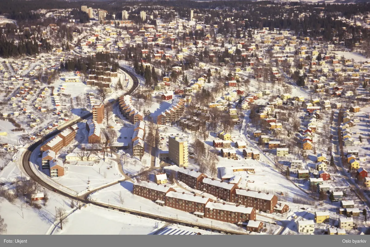 Sogn studentby, med Sognsveien i front. Almeveien og Konvallveienn til høyre. Solvang hagekoloni til venstre. Nordberg i bakgrunnen. (Flyfoto)