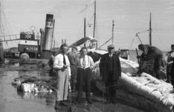 Kvalfangstskuten M.25.SØ "Ingeborg" i bakgrunnen.