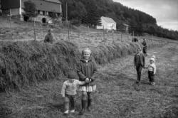 "juli 1964. Reiten".