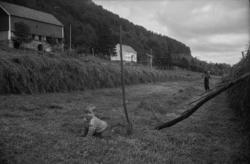 "juli 1964. Reiten".