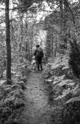 "Jonsok-kveld 1964, Hyttetur".