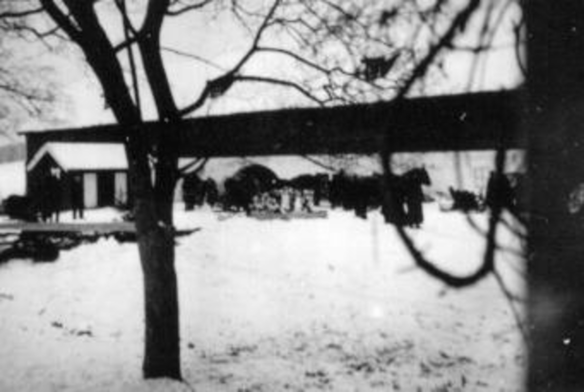 Begravelse etter Petter Rosenlund (1854-1942). Kom til Mellom-Kise, Nes, Hedmark i 1880-åra og ble her som husmann til sin død. Kisten kjøres med hest og slede på vinterføre.