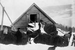 Høykjøring fra seter i Åstadalen til Skaug gård, Brøttum, Ri