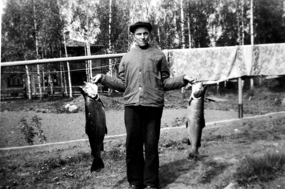 Mjøsfisker, Nils Hovelstuen, Furnes med 2 mjøsørreter.