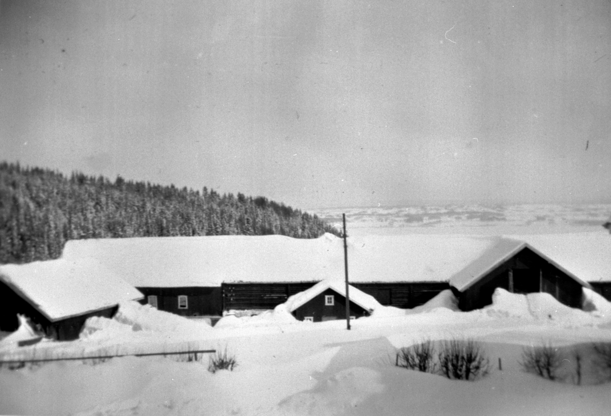 Gamle låven og fjøset på Eik, Helgøya som brant ned i 1952. Vinterbilde. Mjøsa og Stangelandet i bakgrunn.