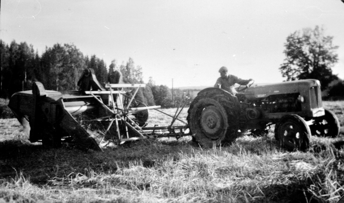 Skuronn på Tørud gård, Ringsaker. Standard traktor med selvbinder.
