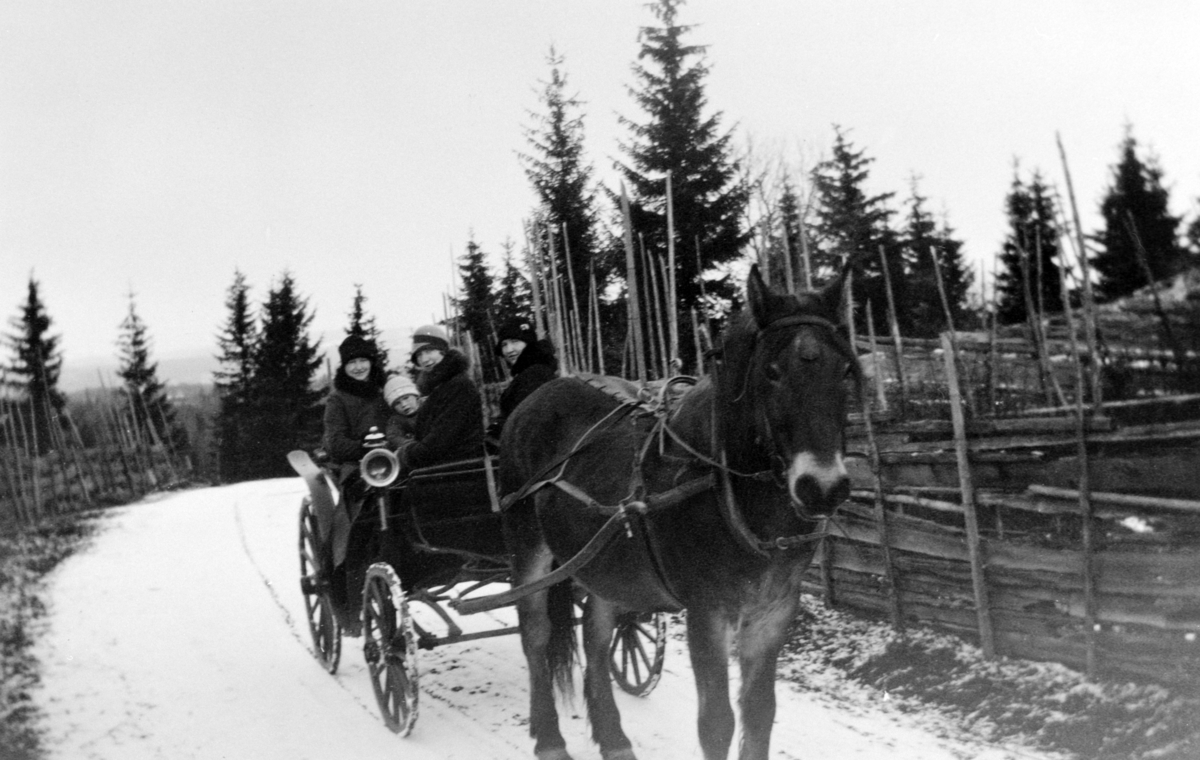 Ole Hanson Soug med familie. Søndagstur med hest og vogn.