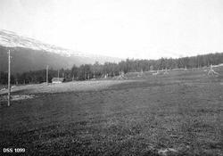 "Dyrket og dyrkbar jord i Susendalen"