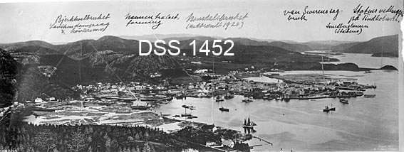Oversiktsfotografi over trelastbyen Namsos i Nord-Trøndelag slik den så ut omkring 1920.  Fotografiet er tatt fra et høyt punkt ned mot byen med trelastbruk og havneområder, og med fjorden og diverse fjellrygger i bakgrunnen.  På bildeflata har noen skrevet navnene på en del av trelastbrukene i Namsos for å markere hvor de lå. 