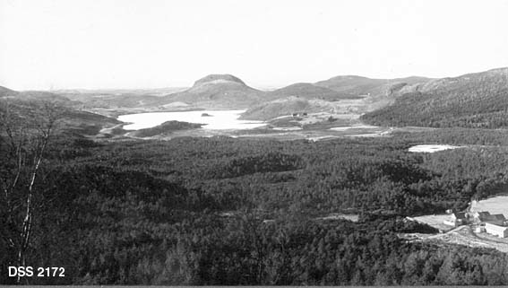 Oversiktsfotografi over Myklebustskogen i Høylandkomplekset statsskog.  Del av tredelt "panorama- eller vidvinkelopptak".  Fotografiet er tatt fra Savrtupsbakken, et høgdepunkt i terrenget, med utsikt over skogflater, et par sjøer og litt jordbruksareal.  I bakgrunnen en del fjellkoller.  Foran nederst til høyre et gardstun.  Høylandskomplekset ble innkjøpt av staten, stykke for stykke, fra 1873 og framover.  Innkjøpene ble gjort for å få etablert et skogreisingsprosjekt i en ellers ekstremt skogfattig region. 