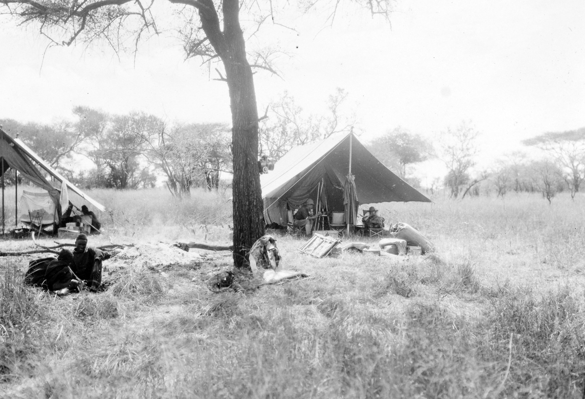 Jaktsafari i Mosambik. To telt med afrikanere utenfor. Christian Thams og nevøen Marentius, samt Matty Christiansen, senere Thams, deltok på turen. 1914.