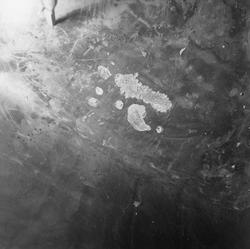 Gjærkar med defekt, E.C. Dahls Bryggeri.