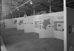 Vitenskapsselskapets stand på Steinkjerutstillingen