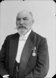 Grosserer Dyre Halse sen.