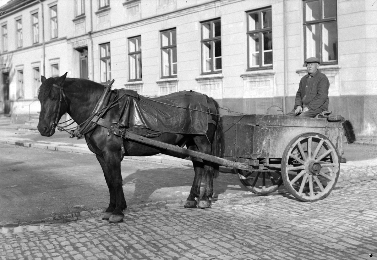 Hestetransport for Renholdsverket