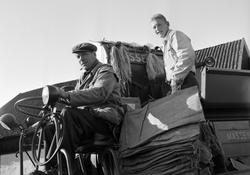 MASSEY FERGUSSSON SKURTRESKER, SKURONN, SKØYEN GÅRD, LØTEN. 