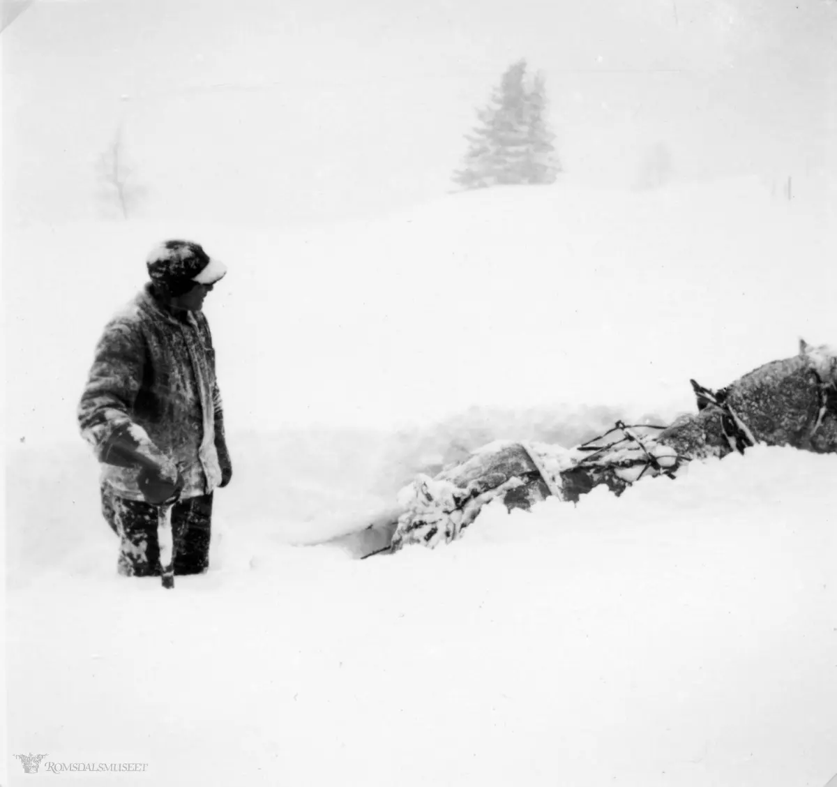 På Bjørneberg snøvinteren 1952..Monrad Sletta er ute med hesten.