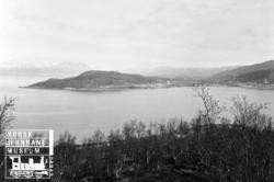 Utsikt fra Ankenes mot Narvik