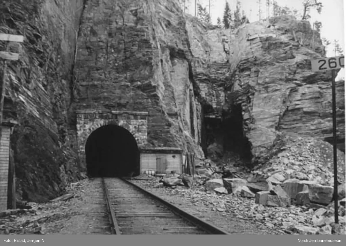 Bygging av ny Randklev tunnel II og ny bru over Lågen ved Randklev