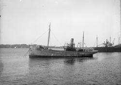 Dampskipet/fiskeåbåten D/S "Havlid" ankret opp i Karmsundet.