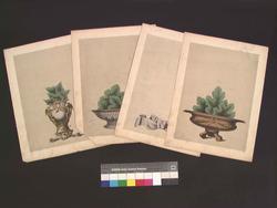 Plansje,  til papirblomsertoppsats