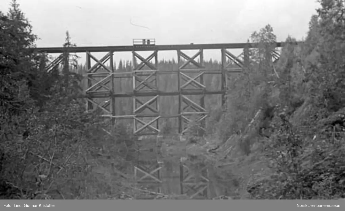Dunderlandsbanens ombygging : Trolldalen gamle viadukt