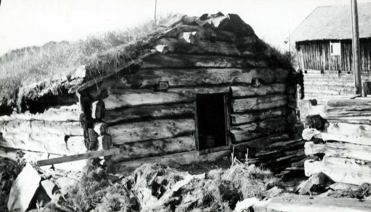 Engan, Os, Nord Østerdal, Hedmark 1941. Fjøs i tømmer med torv på taket, under riving. Nå på Norsk Folkemuseum.