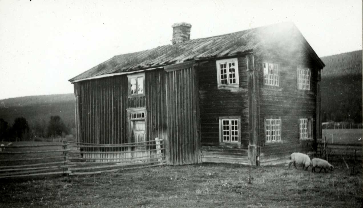 Grøtting, Rendalen, Nord Østerdal, Hedmark 1941. Loftsbygning og beitende sauer.