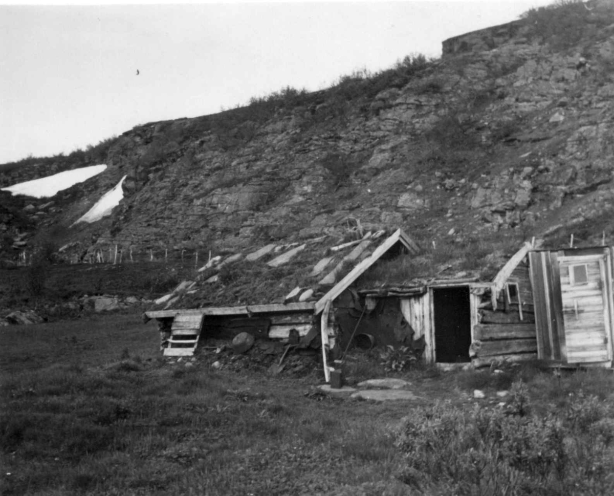 Et tømmerfjøs i Stoppogiedde, 1952.