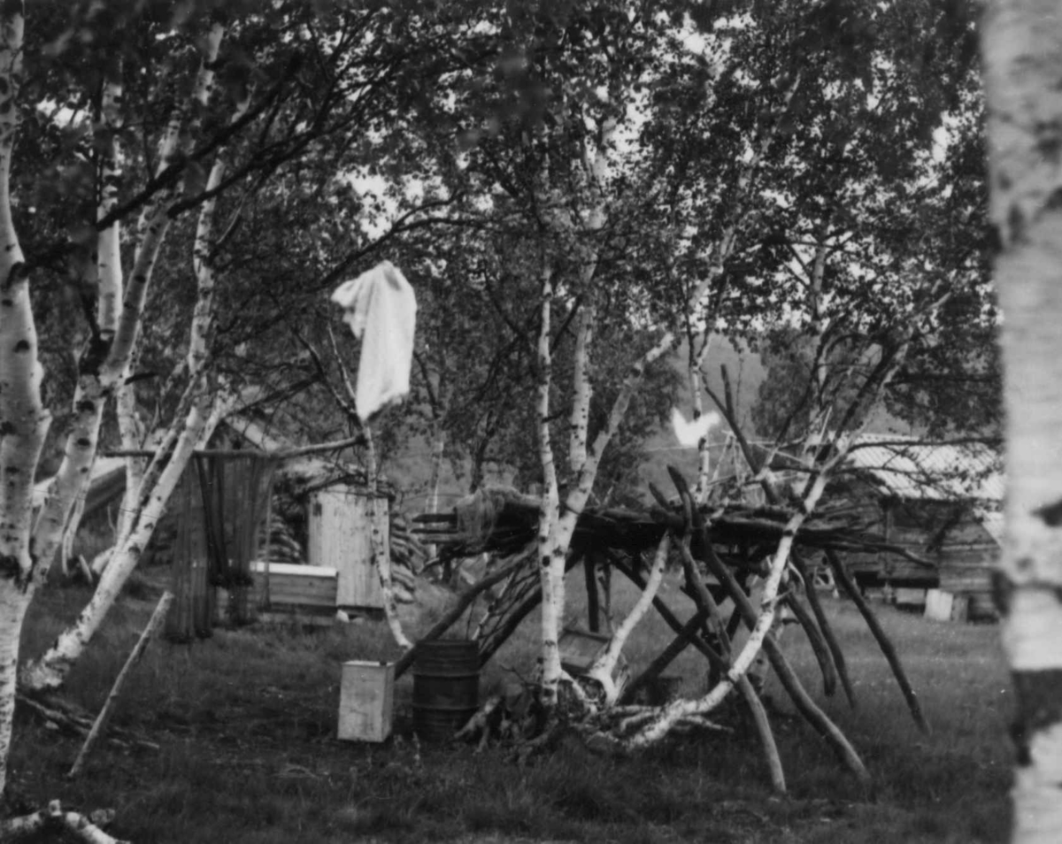 A. Rasmussens fiskekjeller, Javrebajnjarga 1952.