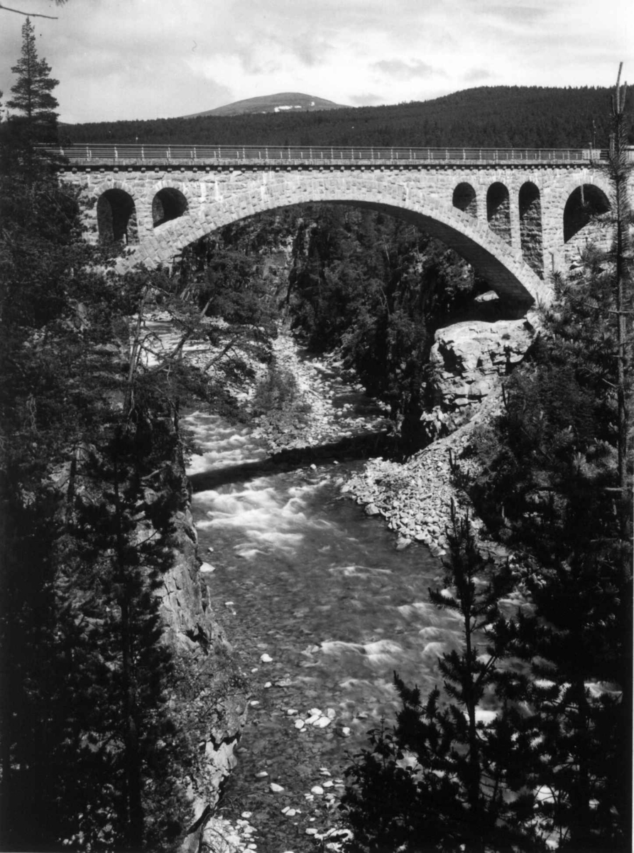 Raumabanen, Jora bro ved Dombås, Dovre,Oppland. 1935. Elv. Skog.