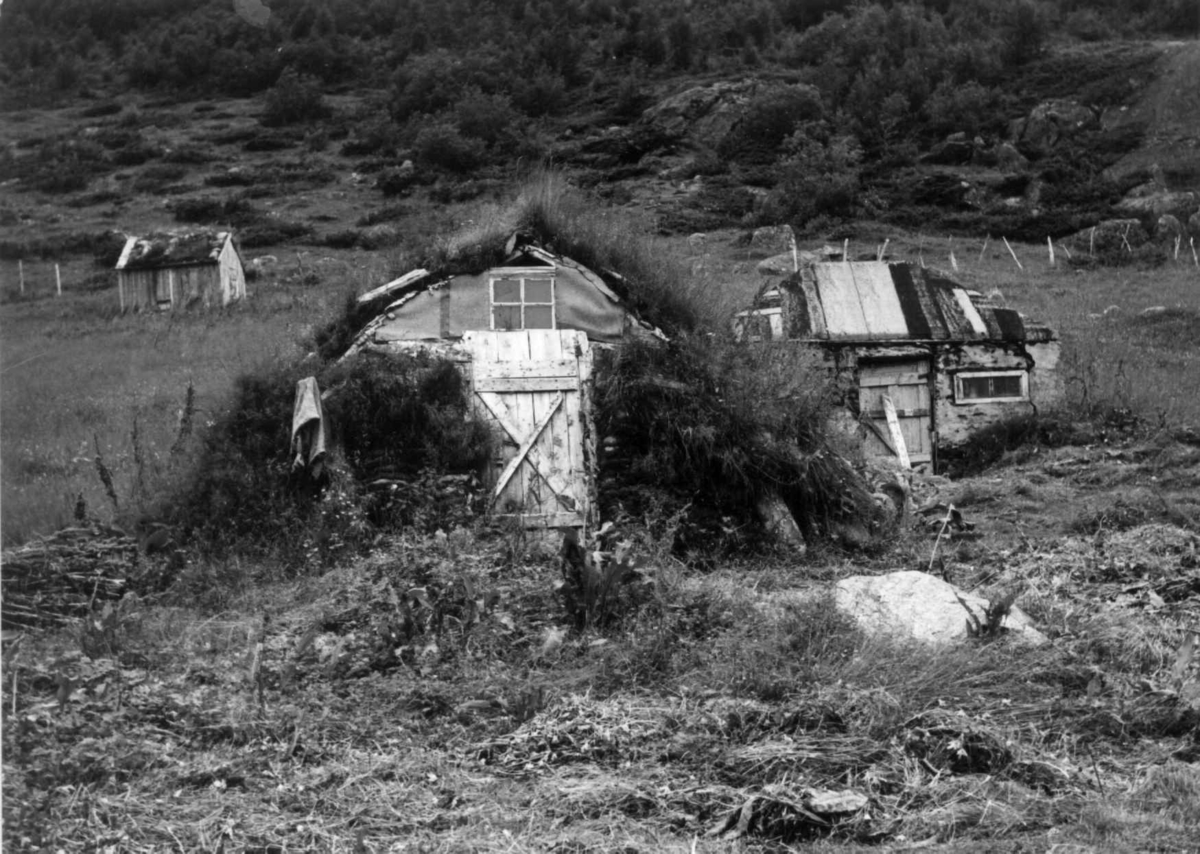 Fjøsgamme i Hellemofjorden, 1964.