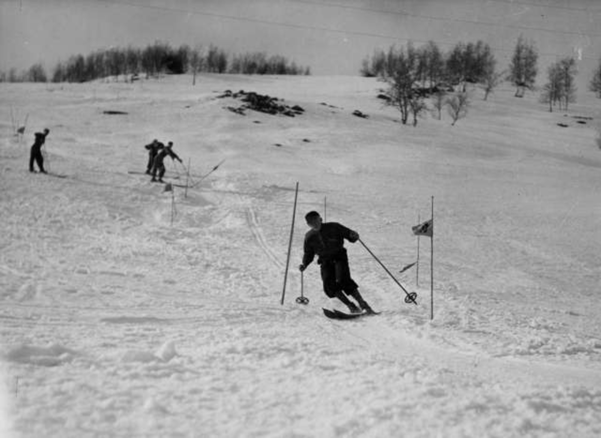 Fire skiløpere i slalåmbakke.