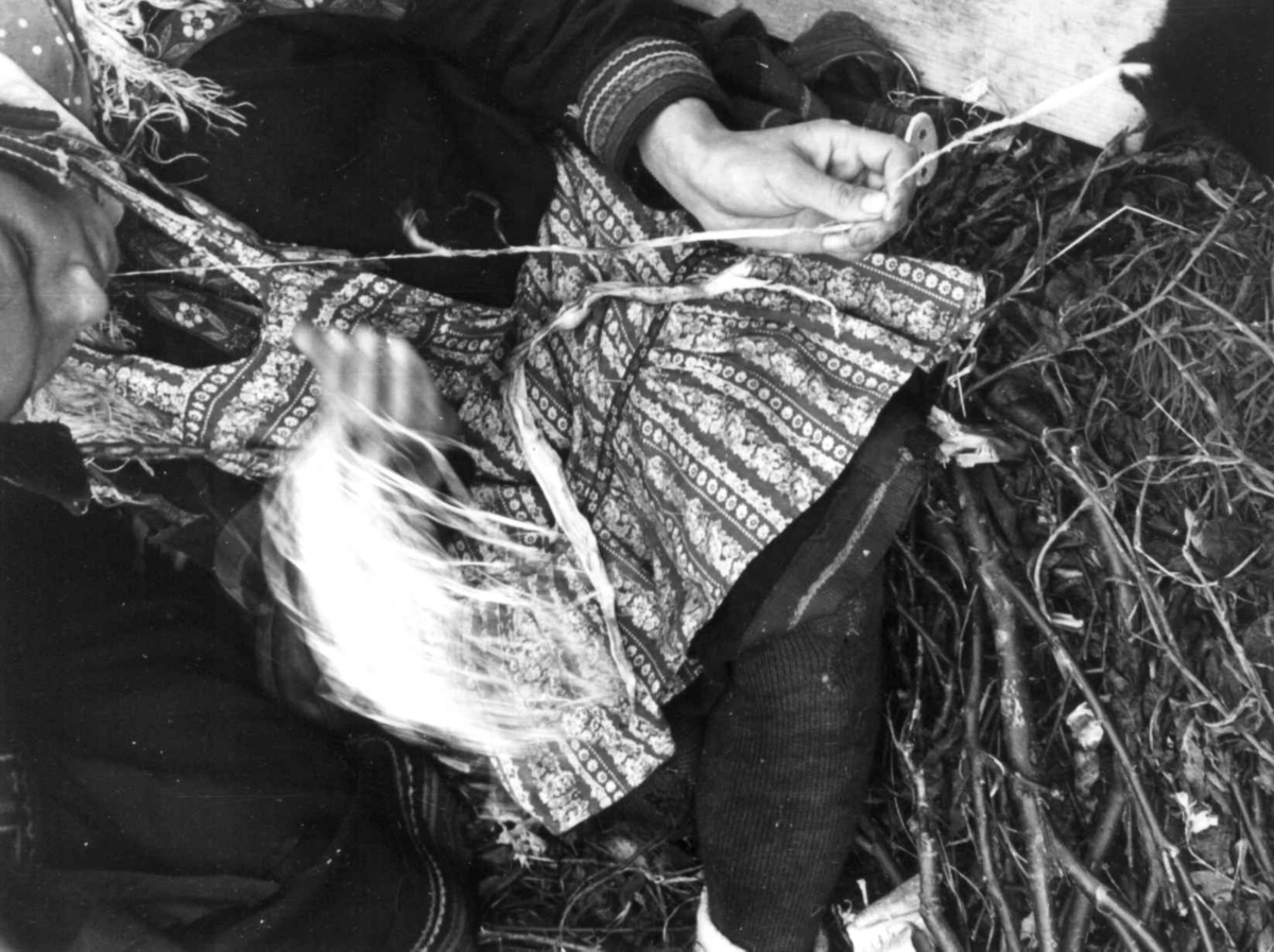 En kvinne bearbeider senetråd. Olderdalen, Kåfjord, Troms 1947.