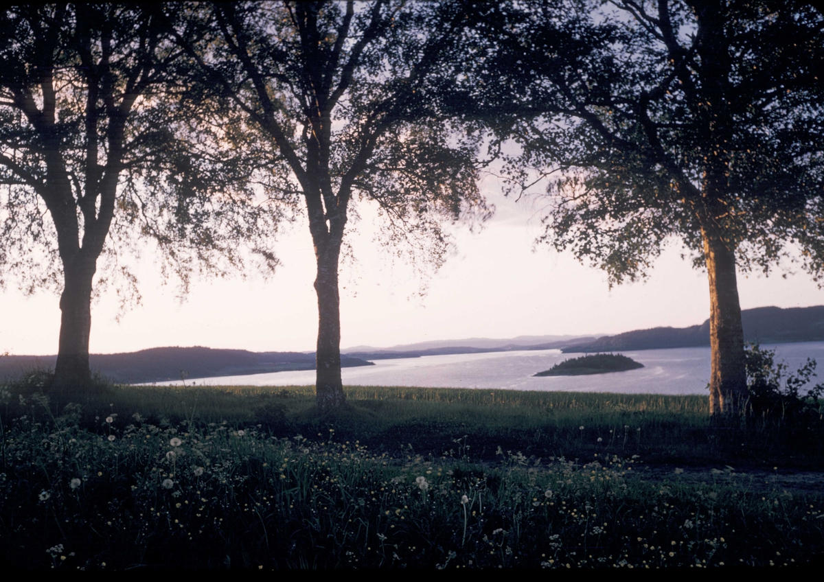 Landskap fra Roelssvingene ved Borgenfjorden i Nord-Trøndelag.