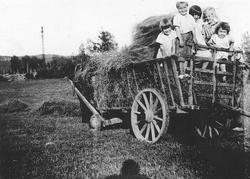 Inger og Anne-Marie Fougli og andre barn er med på høyonna p