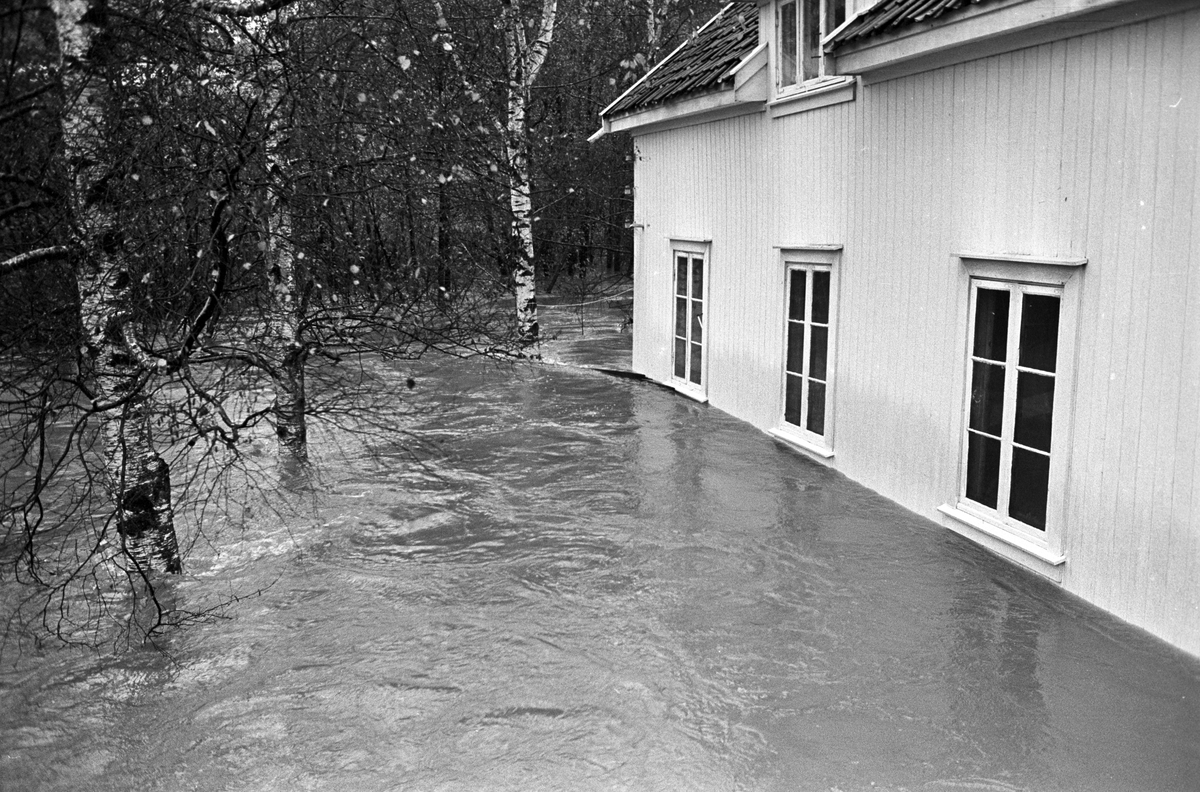 Serie. Stor flom i et boligområde i Røyken. Flere boliger står med vann opp til vinduene. Fotografert oktober 1964.