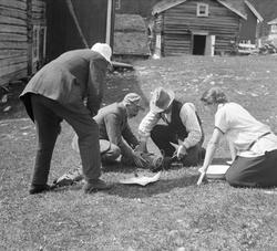 Storlidalen 1925.  Fisken pakkes. Eyvind Arentz nr. 2 fra ve