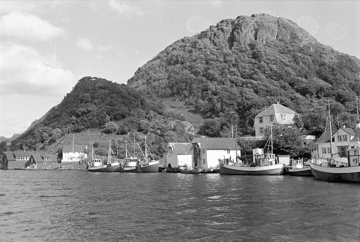 Hidra, Flekkefjord, juli 1968. Havn.