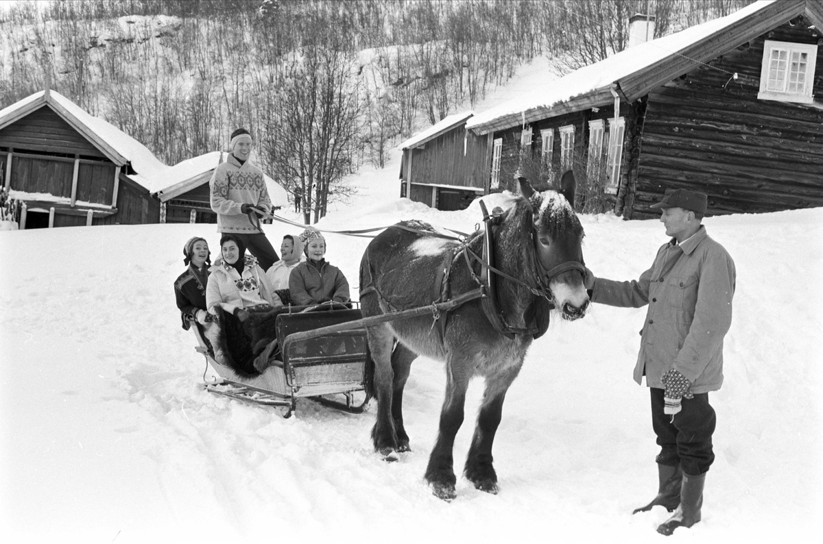 Mannekenger på Geilo, Hol, januar 1961. Hest og slede.