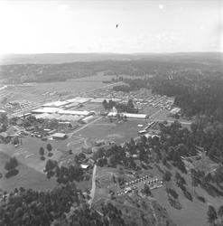 Ekeberg, Oslo, 11. juni 1959, landbruksutstilling, flyfoto o